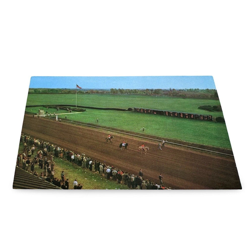 Nashua Horse Final Public Appearance Keeneland‎ Race 1960s Unused Postcard KY